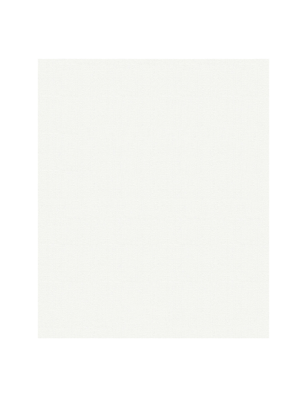 3002 patent wand wan 10,05x0.53m5,33m² prépeint - decorama