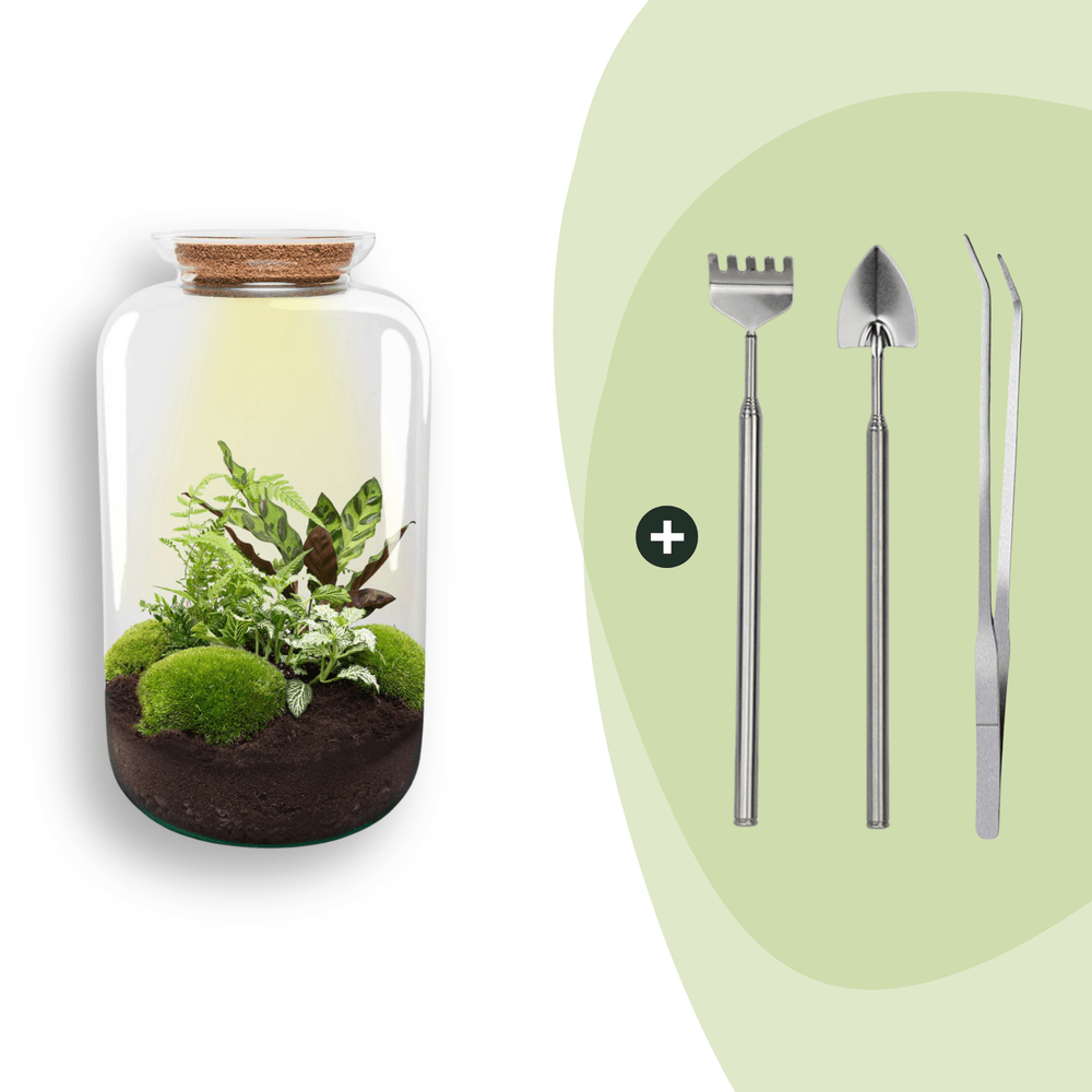 Terrarium à composer bouteille en verre recyclé - ø23-h43cm - avec râteau, pelle et pince - terrarium diy
