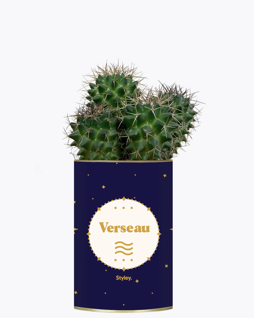 Idée cadeau - astrologie - plante zodiac