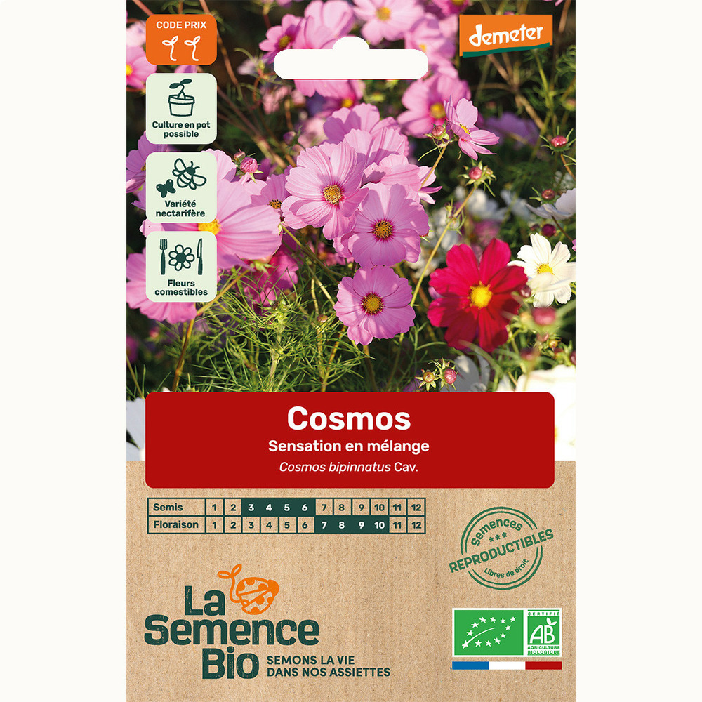Cosmos sensation en mélange - graines bio