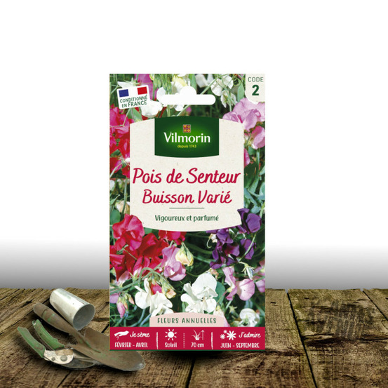 Graines de pois de senteur buisson varié - vilmorin sachet