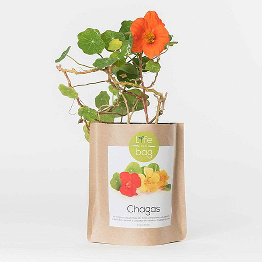 Sac papier prêt à cultiver capucine