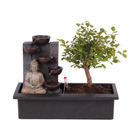 Bonsaï avec système d'eau facile à entretenir et cascade sur la statue de bouddha - plante d'intérieur - hauteur 25-35cm