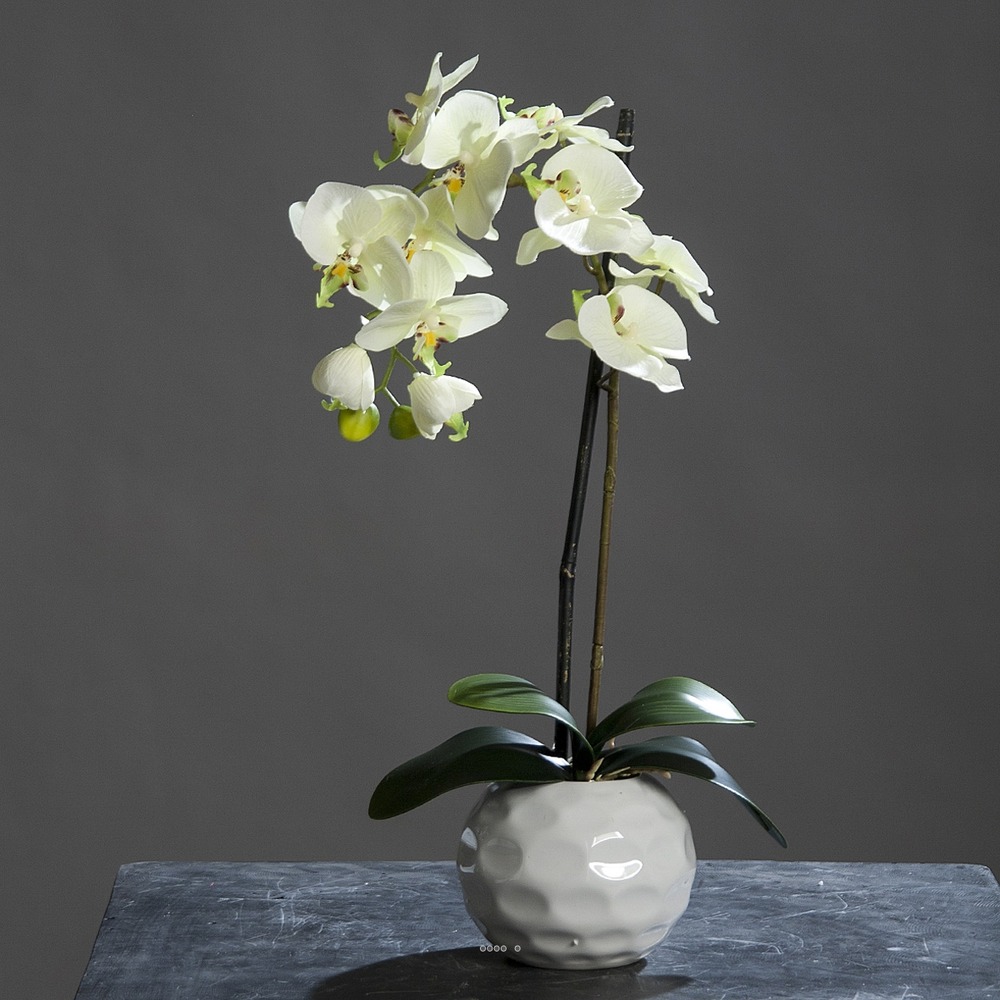 Orchidee artificielle crème vert1 hampe en pot ceramique blanc h 46 cm - couleur