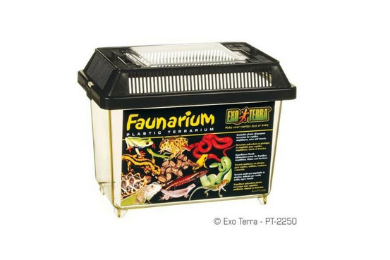 Faunarium - 18 x 11.6 x 14.5 cm pour reptiles