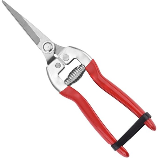 Sécateur rouge pour taille branches et fleurs