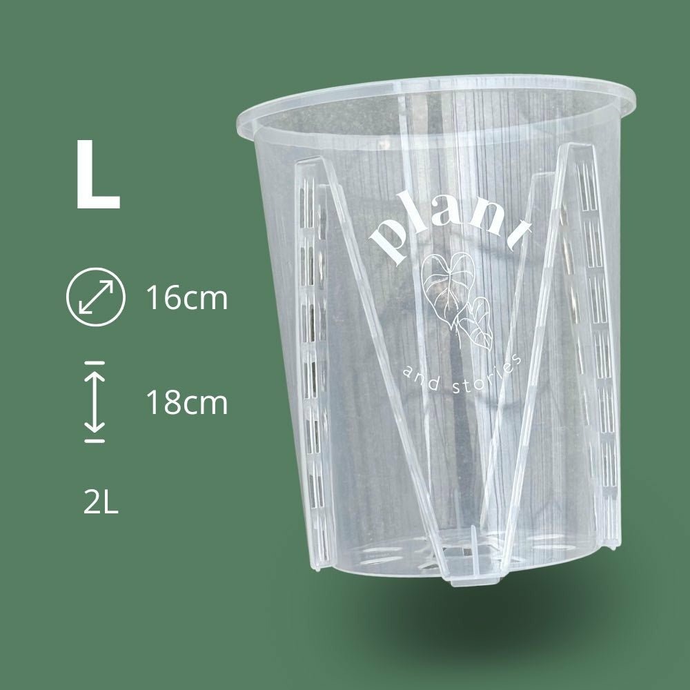 Pot aracées transparent - pot de culture transparent pour plantes - pot de 16cm - x10 unités