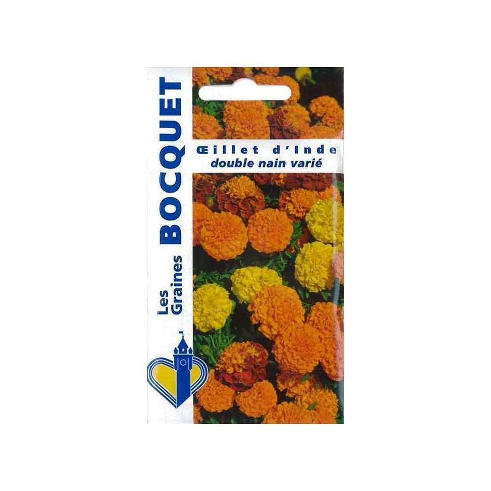 Oeillet d'Inde double nain variÃ©