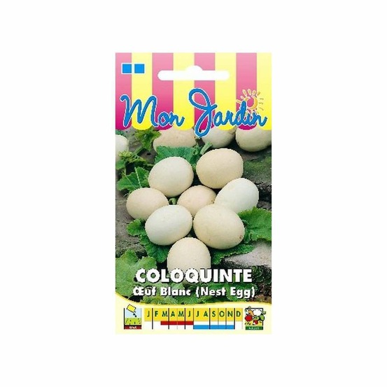 Coloquinte Oeuf Blanc (Nest Egg)