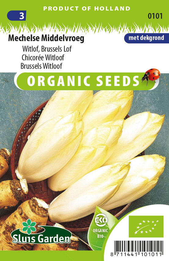 Chicorée mechelse middelvroeg - graines biologiques - ca. 0,5 g (livraison gratuite)