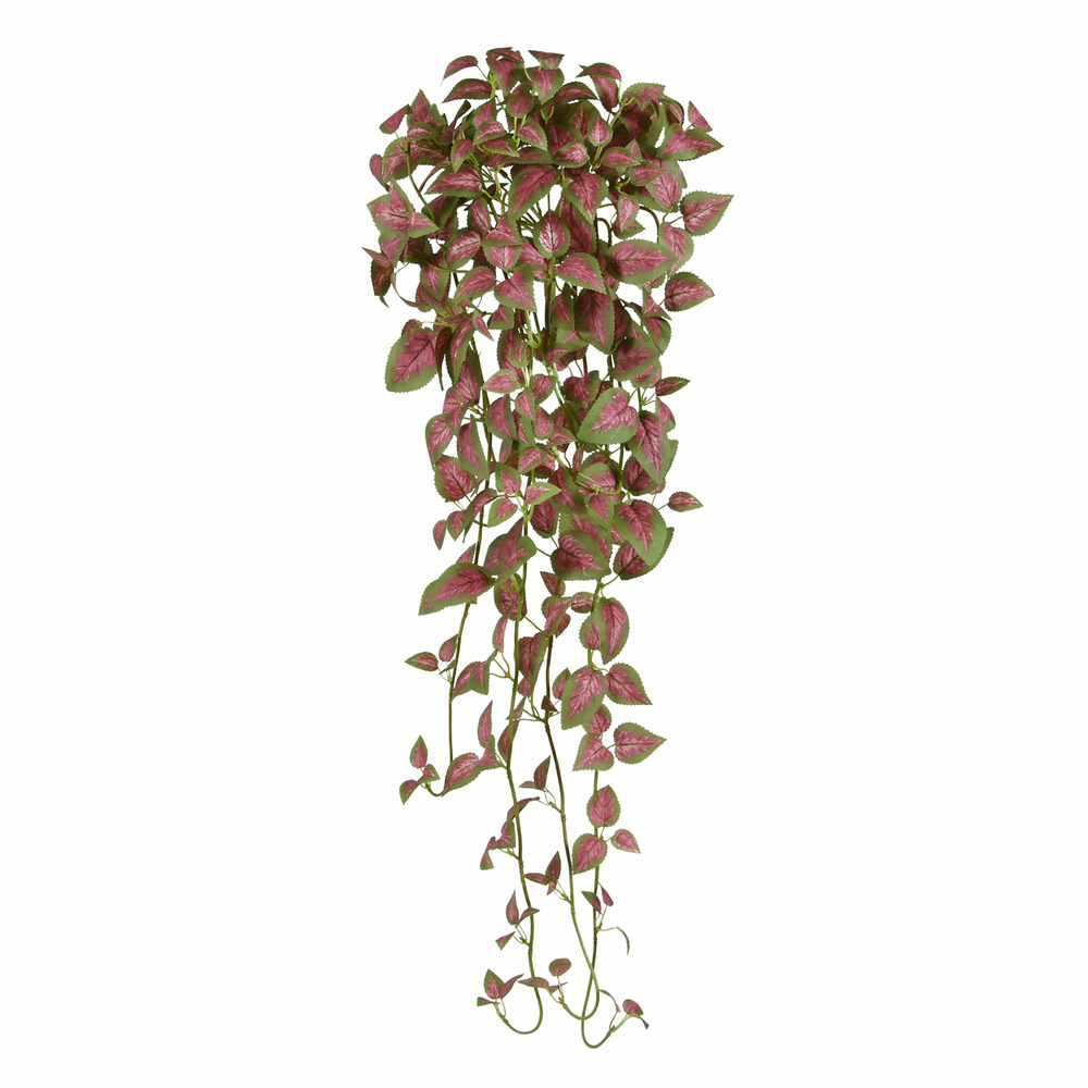 Coleus en chute artificielle de 90cm rose/vert