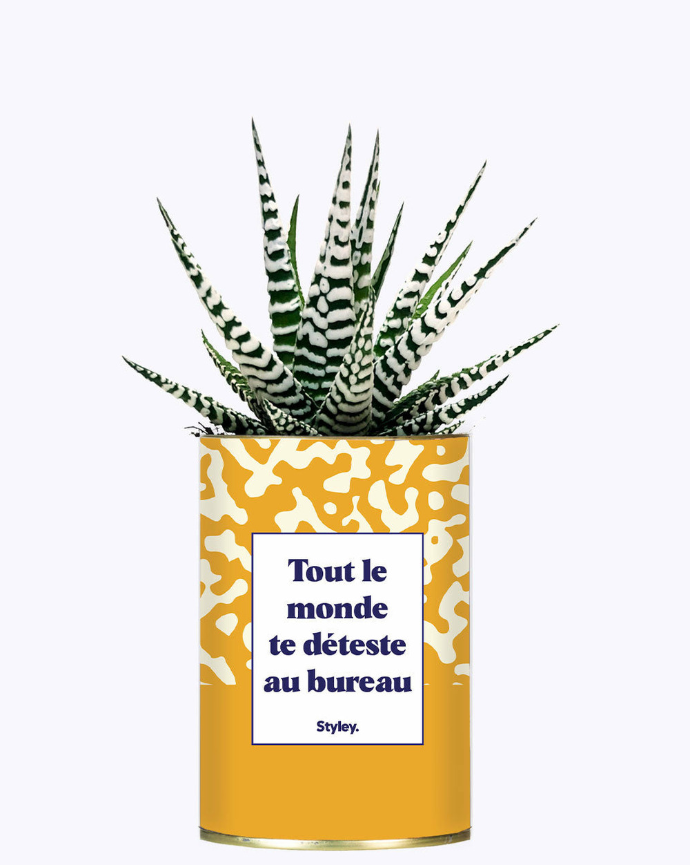 Plante personnalisée - tout le monde te déteste au bureau - cactus