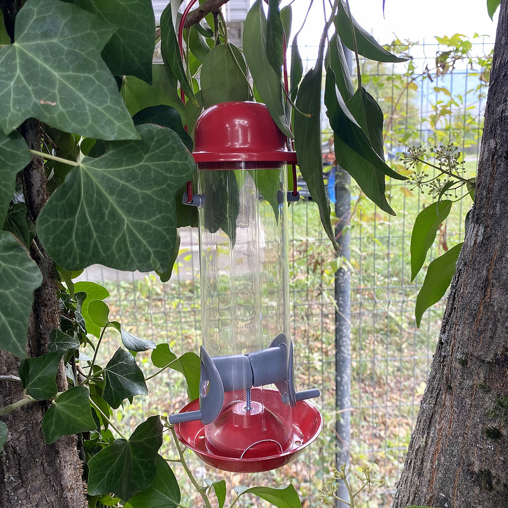 Silo à graines pour oiseaux