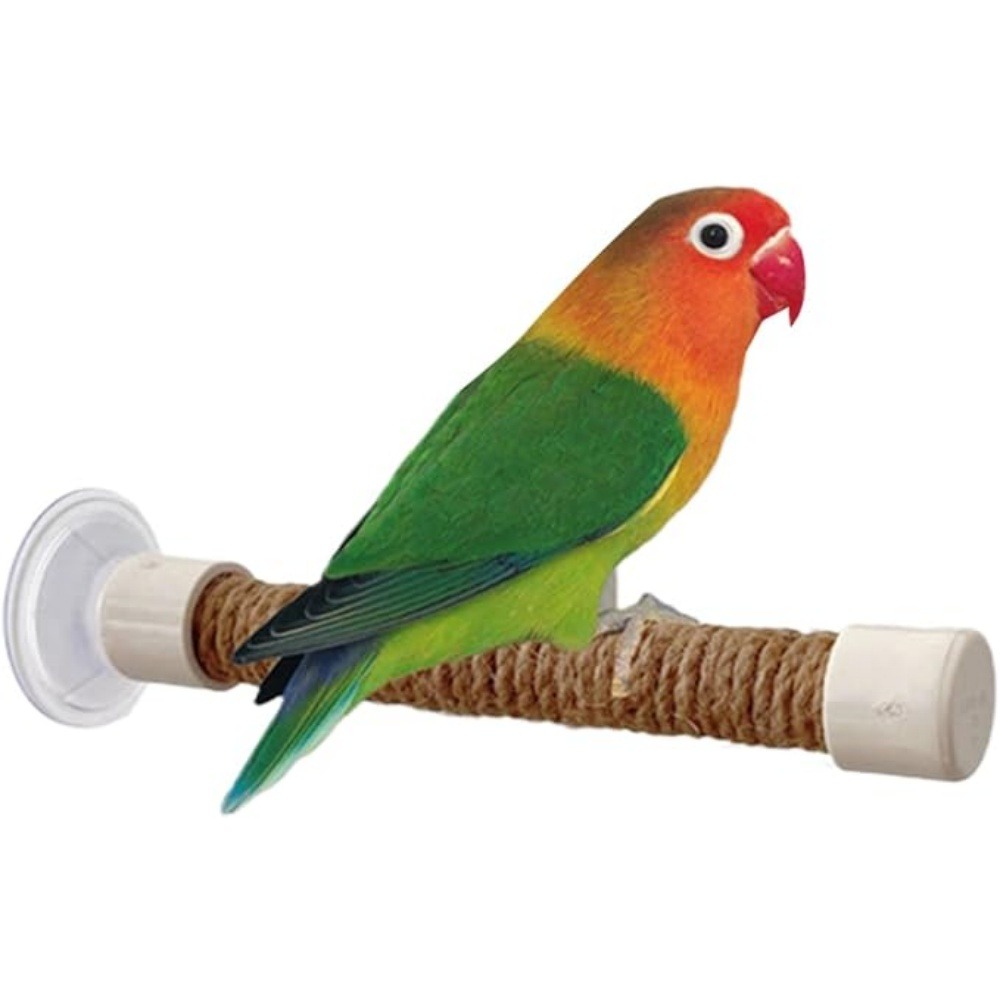Perchoir ventouse accessoire oiseaux
