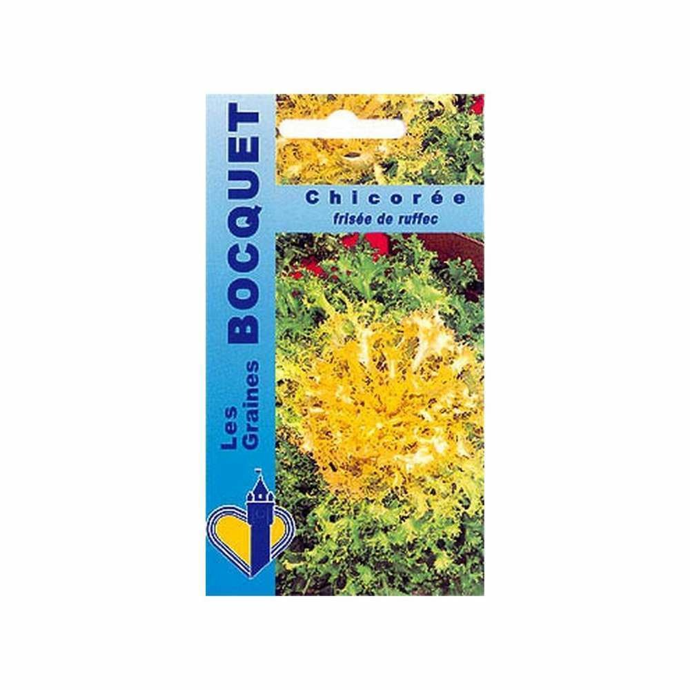 Graines de chicorée frisée de ruffec (à grosses côtes)