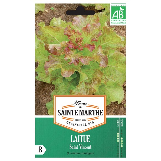 Laitue à couper 'saint vincent' le sachet de 400 graines environ