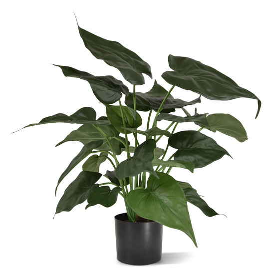 Plante artificielle alocasia cucullata 50cm