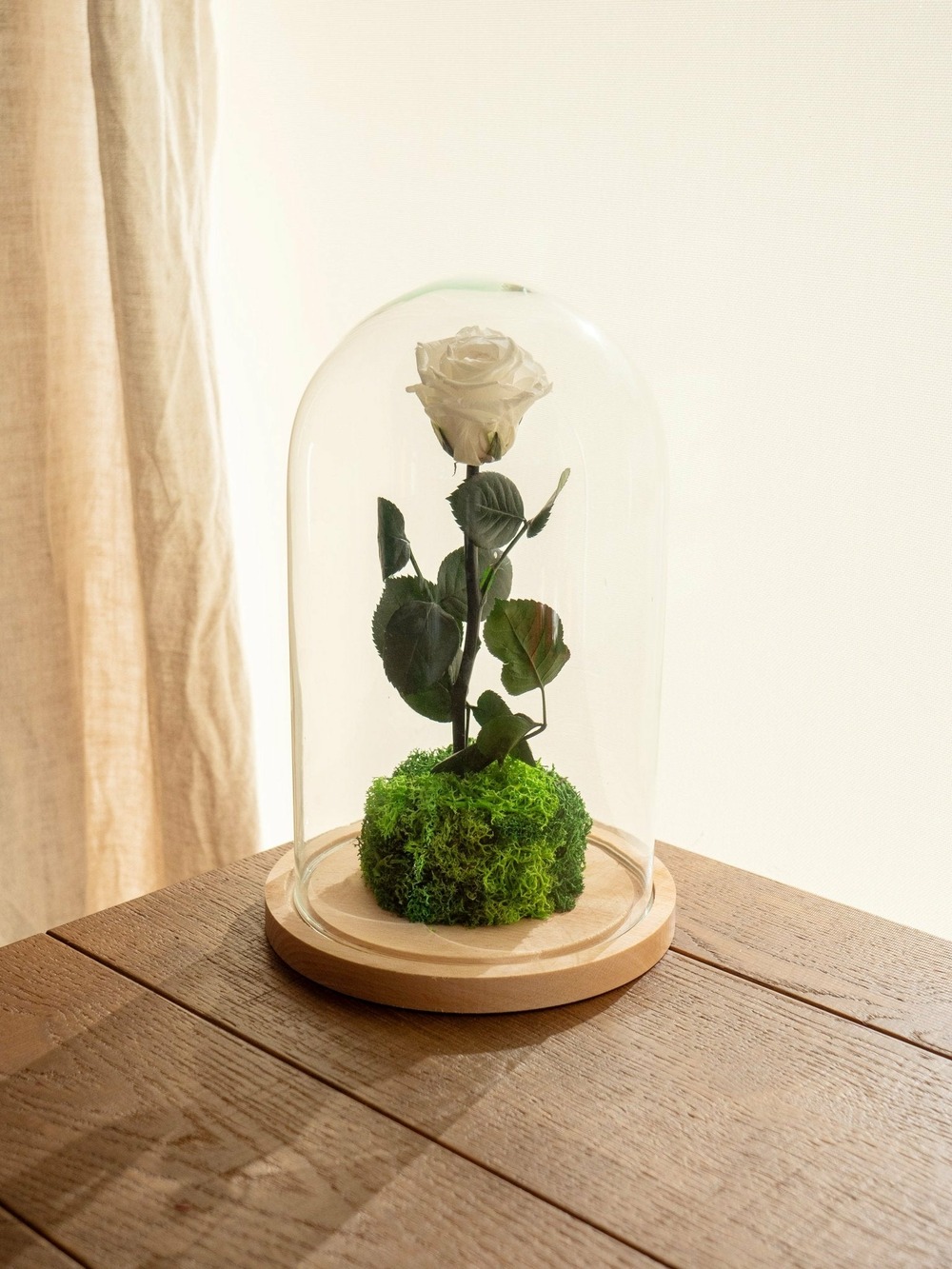 Rose éternelle sous cloche - rose