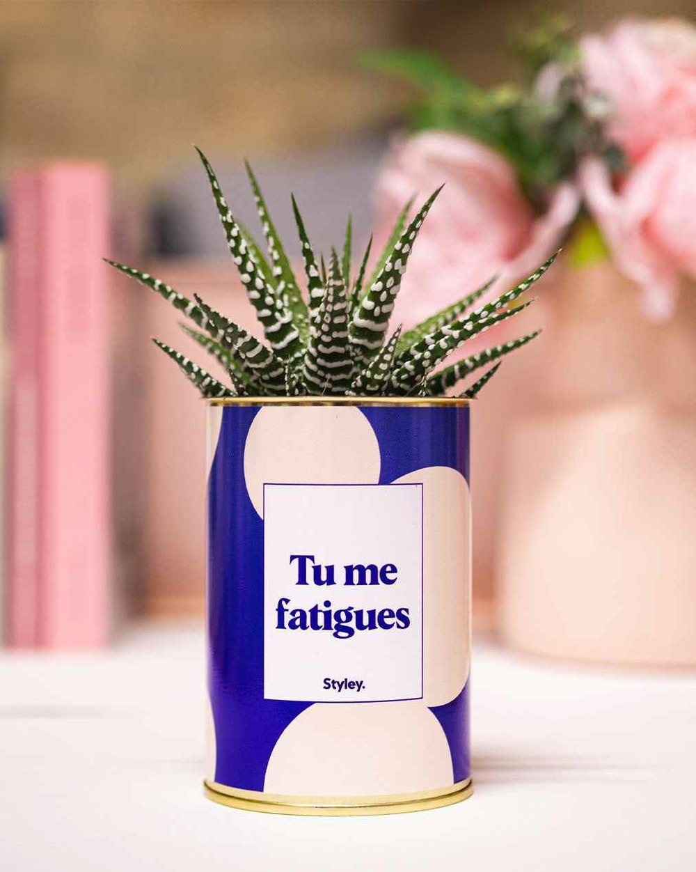 Plante personnalisée - tu me fatigues - cactus