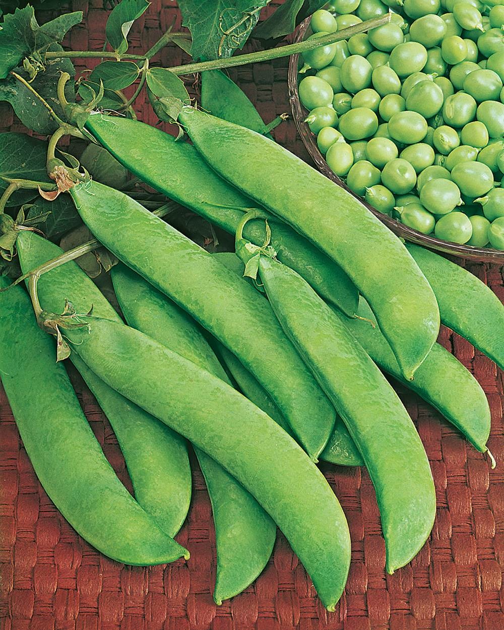 Pois senator - 150 g