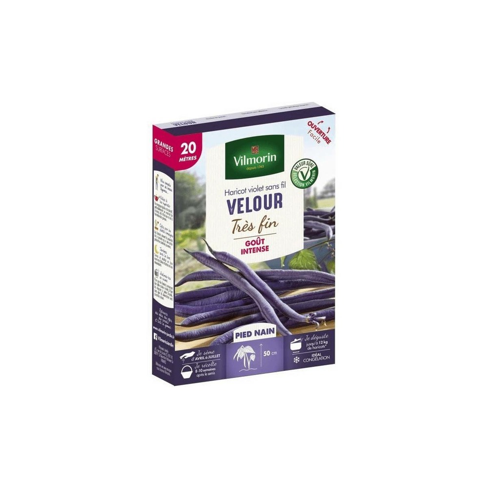 Graines de haricot nain mangetout velour 20 mètres