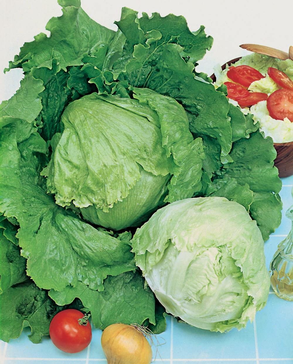 Laitue batavia reine des glaces - 3 g