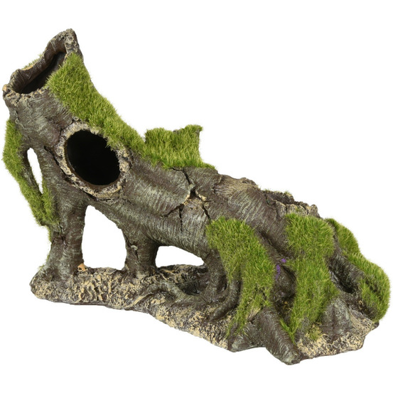 Décoration aquarium. Kozma souche. Taille 23 x 11 x 16 cm.