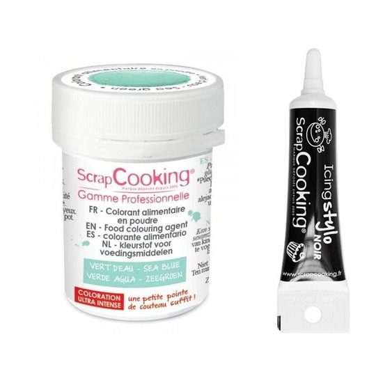 Colorant alimentaire en poudre vert d'eau + stylo glaçage noir