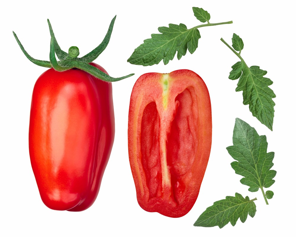 Sachet de graines de tomate san marzano - sachet de 0,2 gramme - petite entreprise française