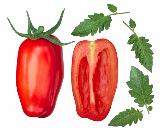 Sachet de graines de tomate san marzano - sachet de 0,2 gramme - petite entreprise française