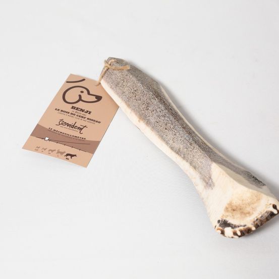 Bois de cerf biseau benji pour chiens peu endurants taille xl