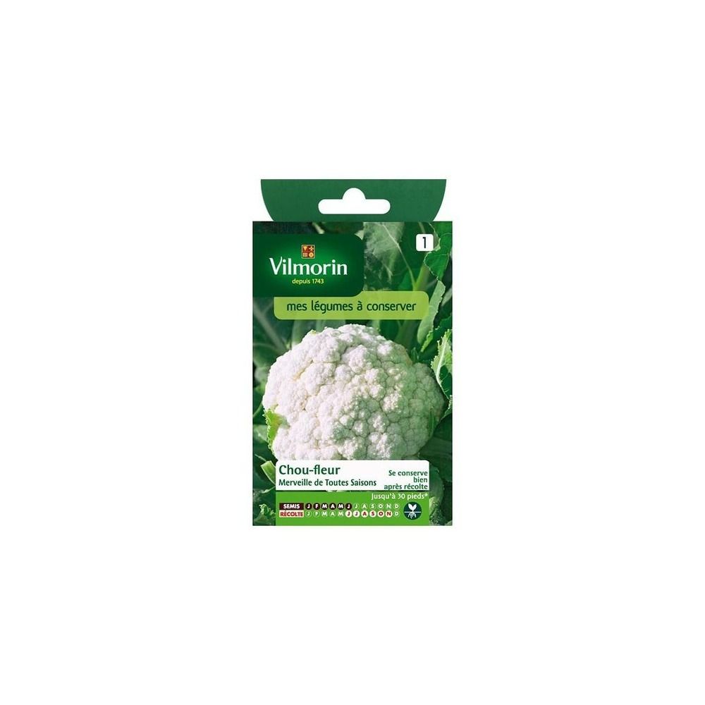 Sachet graines chou-fleur merveille de toutes saisons