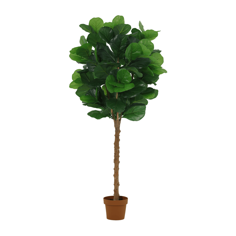 Ficus lyrata - 160cm - ø20cm - plante artificielle