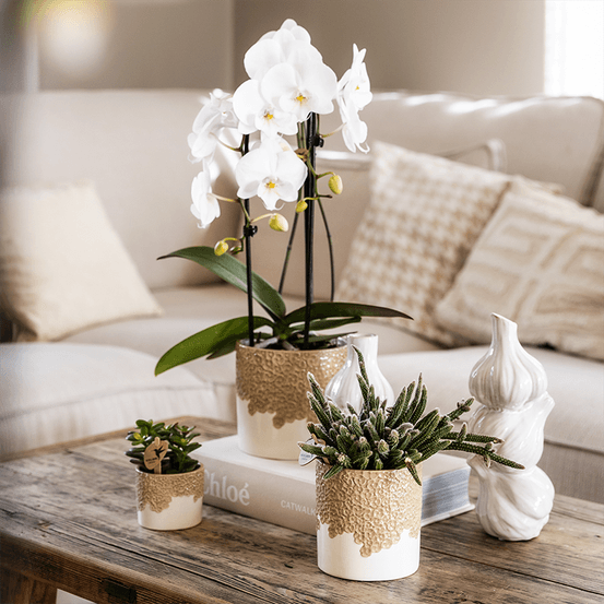 Cache‑pots bloom sable - lot 6 cm + 9 cm + 12 cm