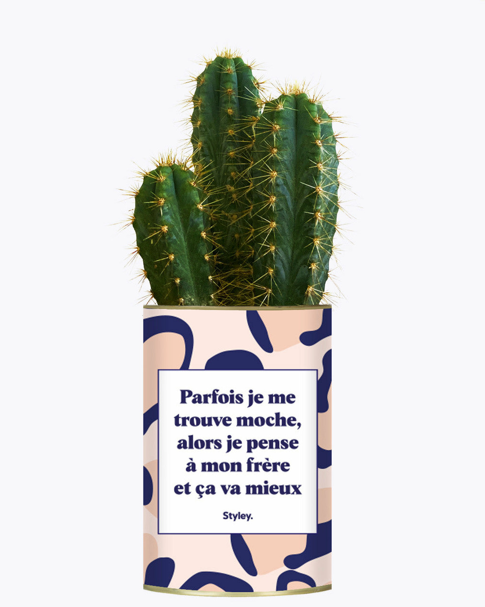 Plante personnalisée - frère moche - cactus
