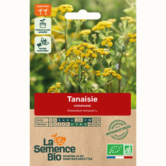 Tanaisie commune - graines bio