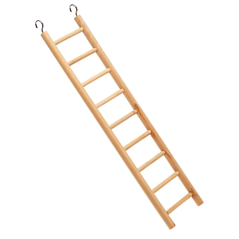 Accessoires cages oiseaux ferplast échelle bois exercice