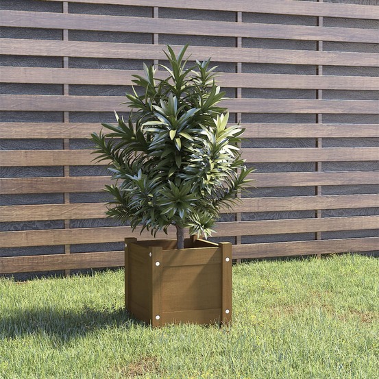 Jardinière extérieur marron miel 31x31x31 cm bois de pin massif