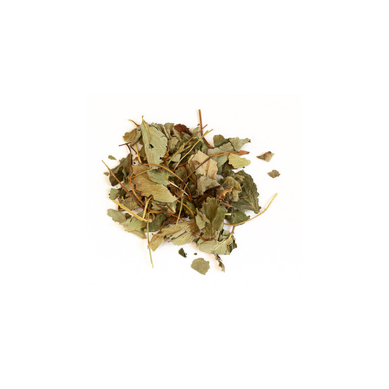 Feuilles de fraisier - 100 g