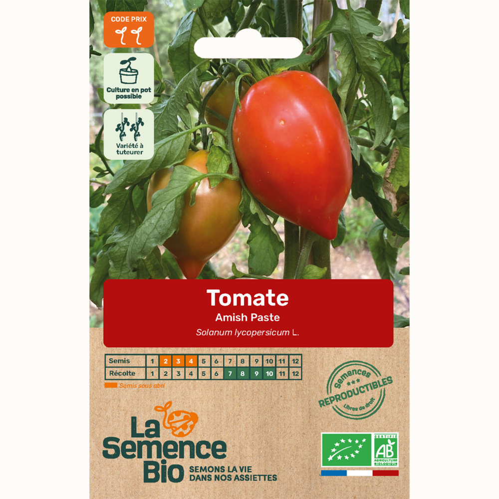 Tomate amish paste - graines bio