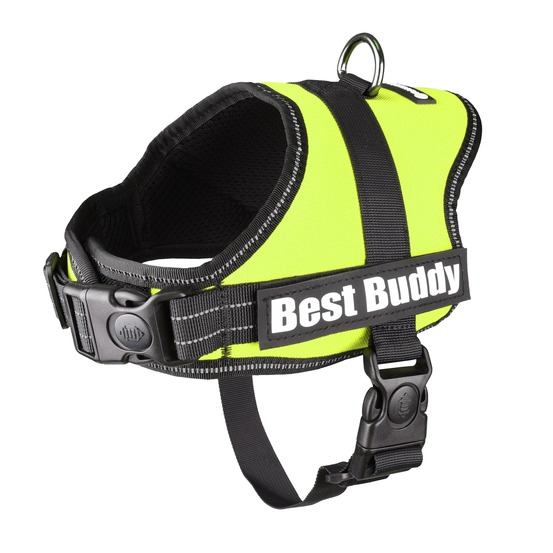 Harnais réglable pour chien pluto