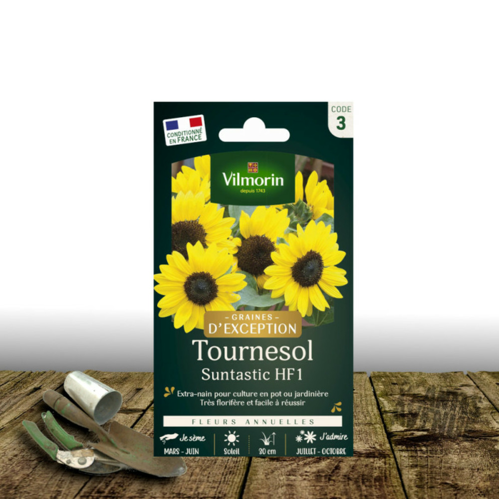 Graines de tournesol suntastic hf1 - vilmorin sachet