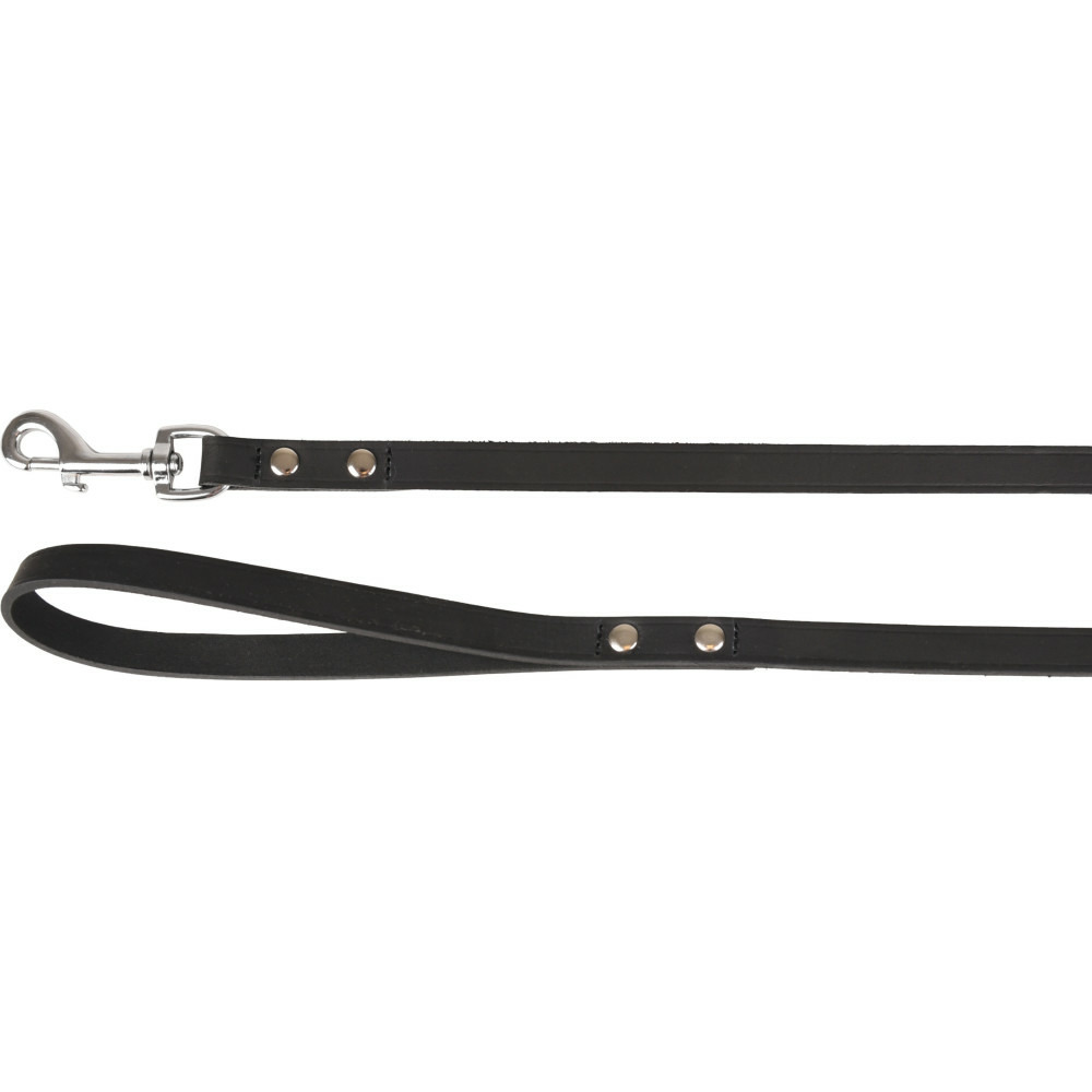 Laisse 130 cm x 16 mm rondo riveté noir pour chien