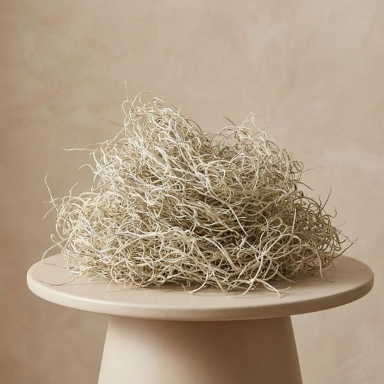 Mousse de tillandsia séchée décorative - 1 litre