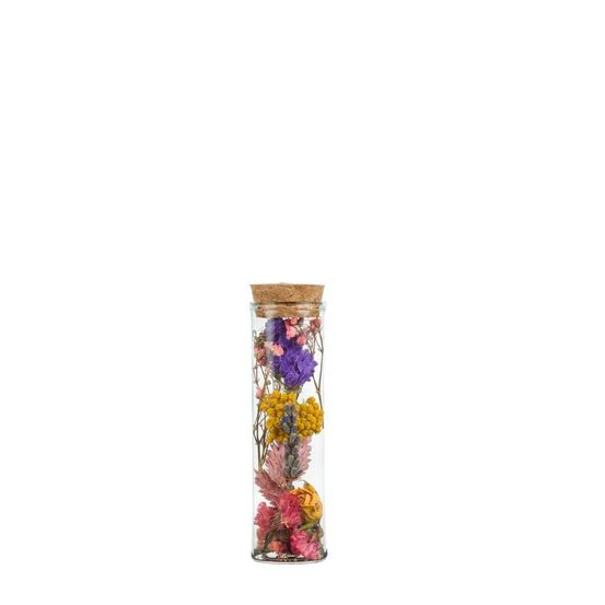 Lot de 12 - fleurs séchées - wish bottle small - multi - h10 cm