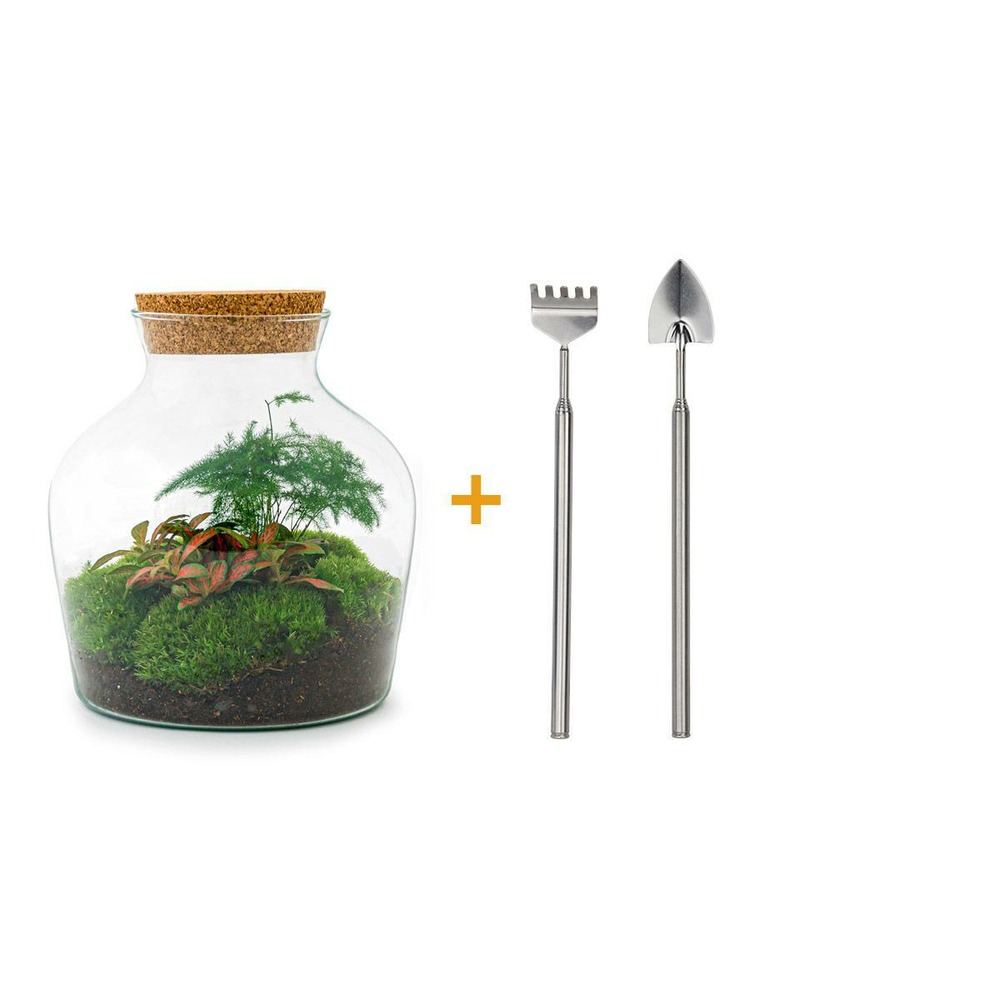 Diy terrarium - little joe - rake + shovel - h21.5 cm