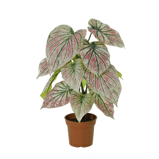 Caladium vert / rose plante artificielle - h57 cm - ø15 cm