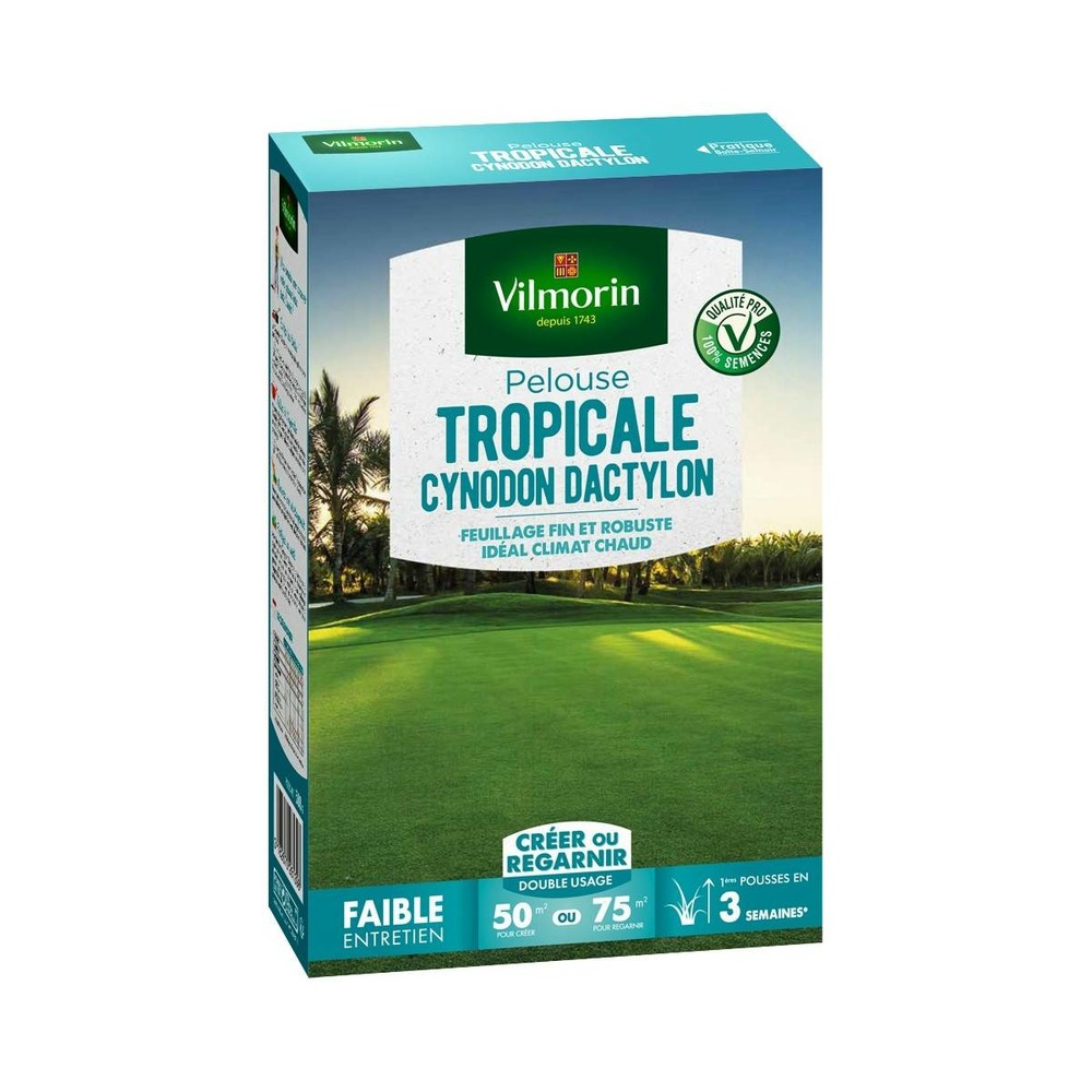 Gazon cynodon dactylon 500 gr