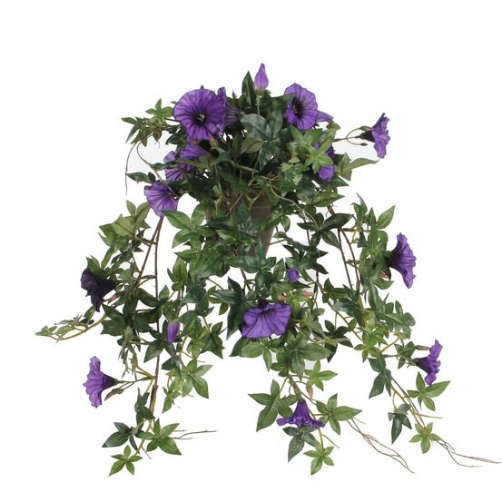 Mica decorations plante artificielle pétunia - h25 cm - violet foncé