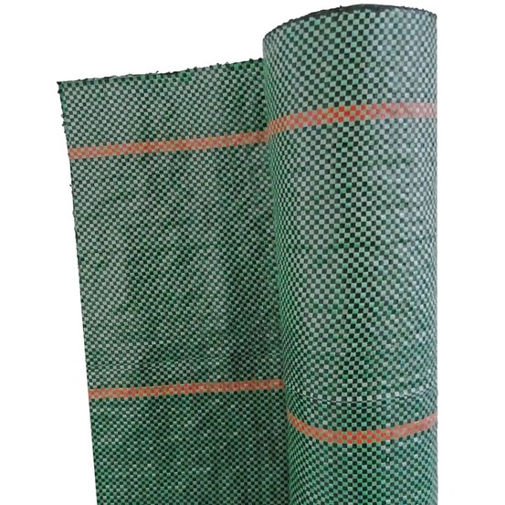 Bâche de sol de contrôle des mauvaises herbes 1x25 m vert
